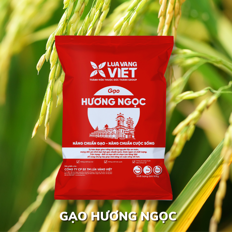 Gạo Lúa Vàng Việt Hương Ngọc bao 10kg