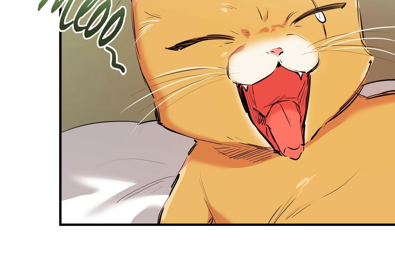 đàn thỏ của habibi chapter 32 31