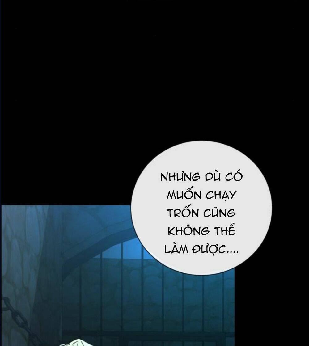 ta đã từng mong nàng biến mất chapter 11.2 24