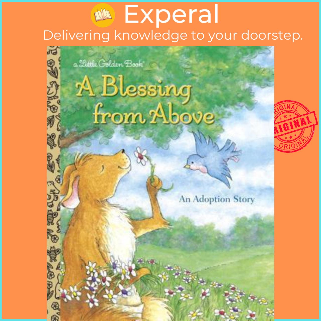 Sách - LGB A Blessing From Above by Patti Henderson