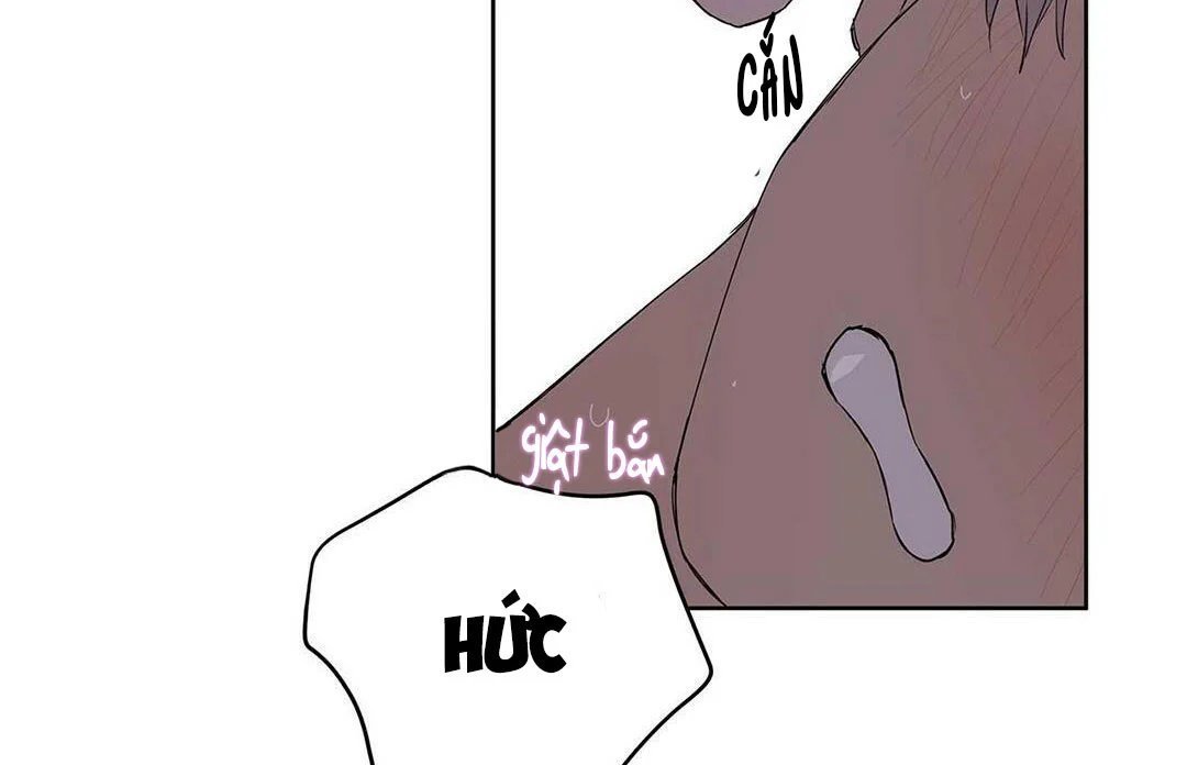 guide cấp b chapter 21 102