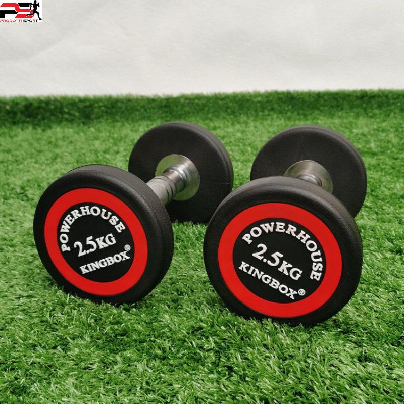 Tạ tay KINGBOX 2.5kg lõi gang đặc bọc cao su Nhập Khẩu