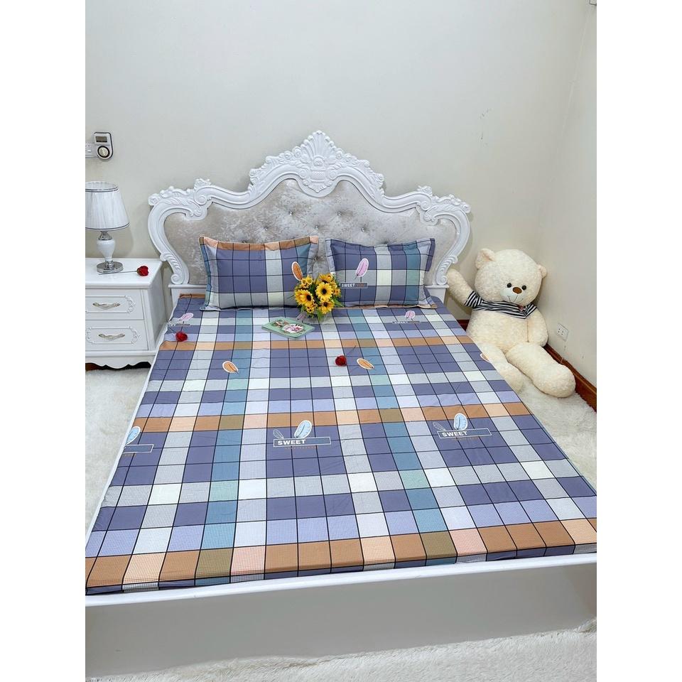 Bộ ga chun trơn và 2 vỏ gối 100% cotton hàn các kích thước