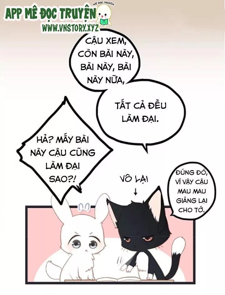 con tim rung động 2 chapter 71 7