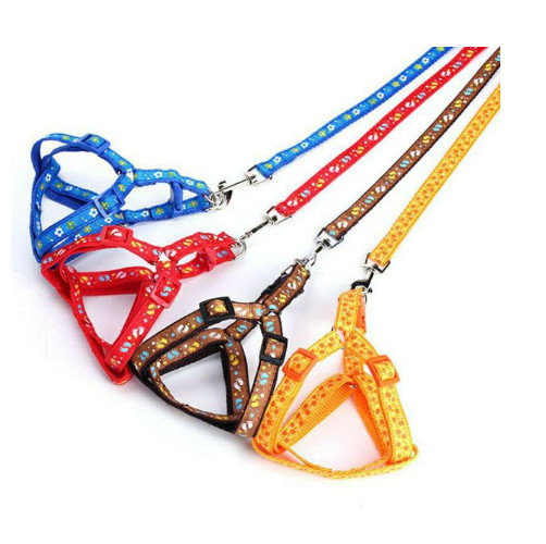 Dây dắt yếm vải dù chắc chắc nhiều màu cho chó