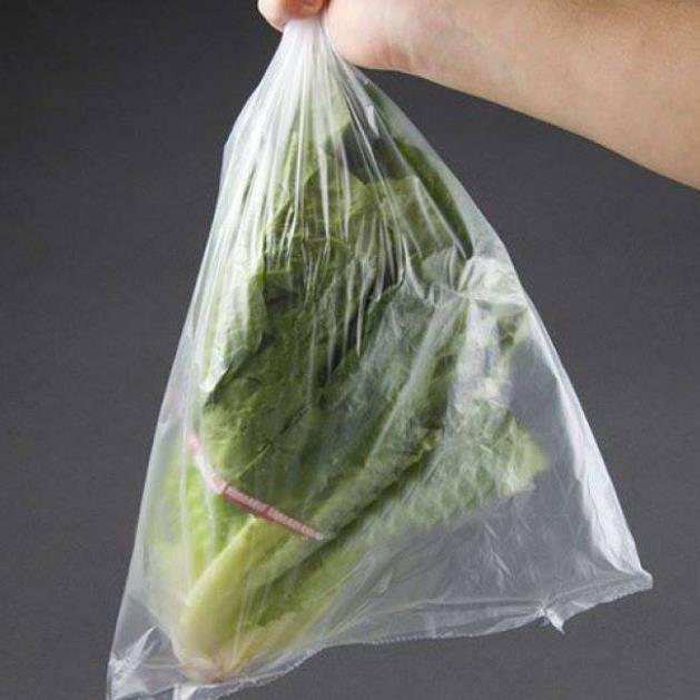 Túi đựng thực phẩm tự phân hủy