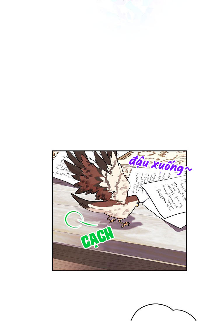 công chúa của loài chim chapter 8 62