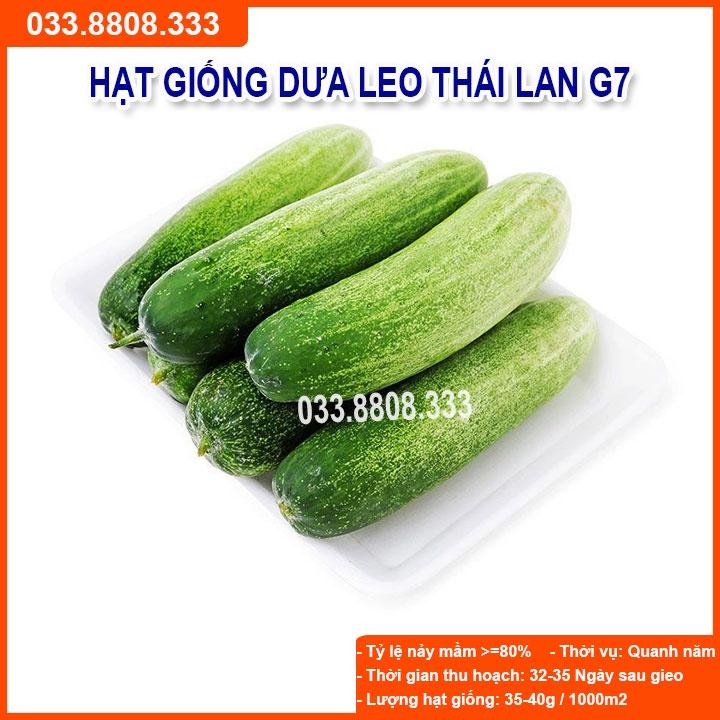 Hạt Giống Dưa Leo G7 F1 gói 1gram - Sai Quả Năng Suất Cao