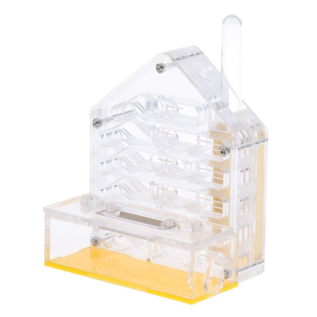 Clear Insect Ant Housing Acrylic Nest Ants Feed Farm Formicarium Box