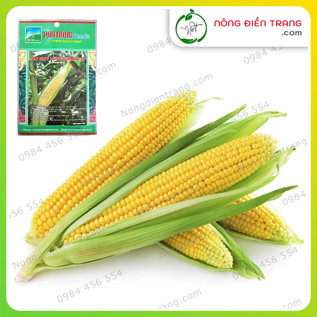 Hạt Giống Bắp Ngọt Lai F1 Highland 39 Phú Nông - Gói 5g - Giống Bắp Mỹ Nảy Mầm Nhanh Sinh Trưởng Mạnh - VTNN Nông Điền Trang