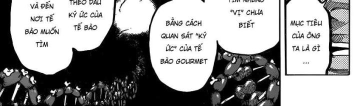 thánh tỏi sành ăn chapter 338 29