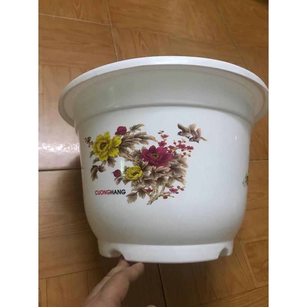 5 chậu nhựa trồng cây - Chậu trồng hoa, trồng rau size 28x20 cm