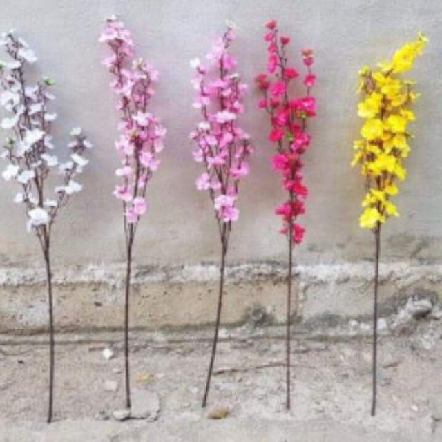 Hoa anh đào hàng có sẵn - Hoa Giả