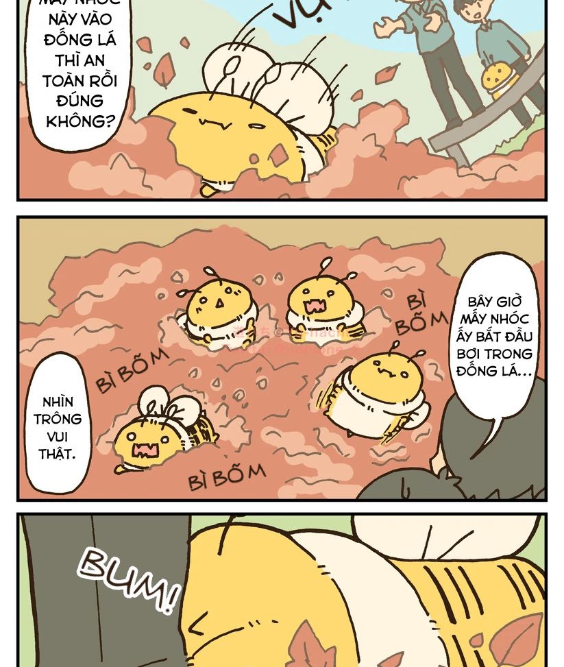 những chú ong béo chapter 19.4 1