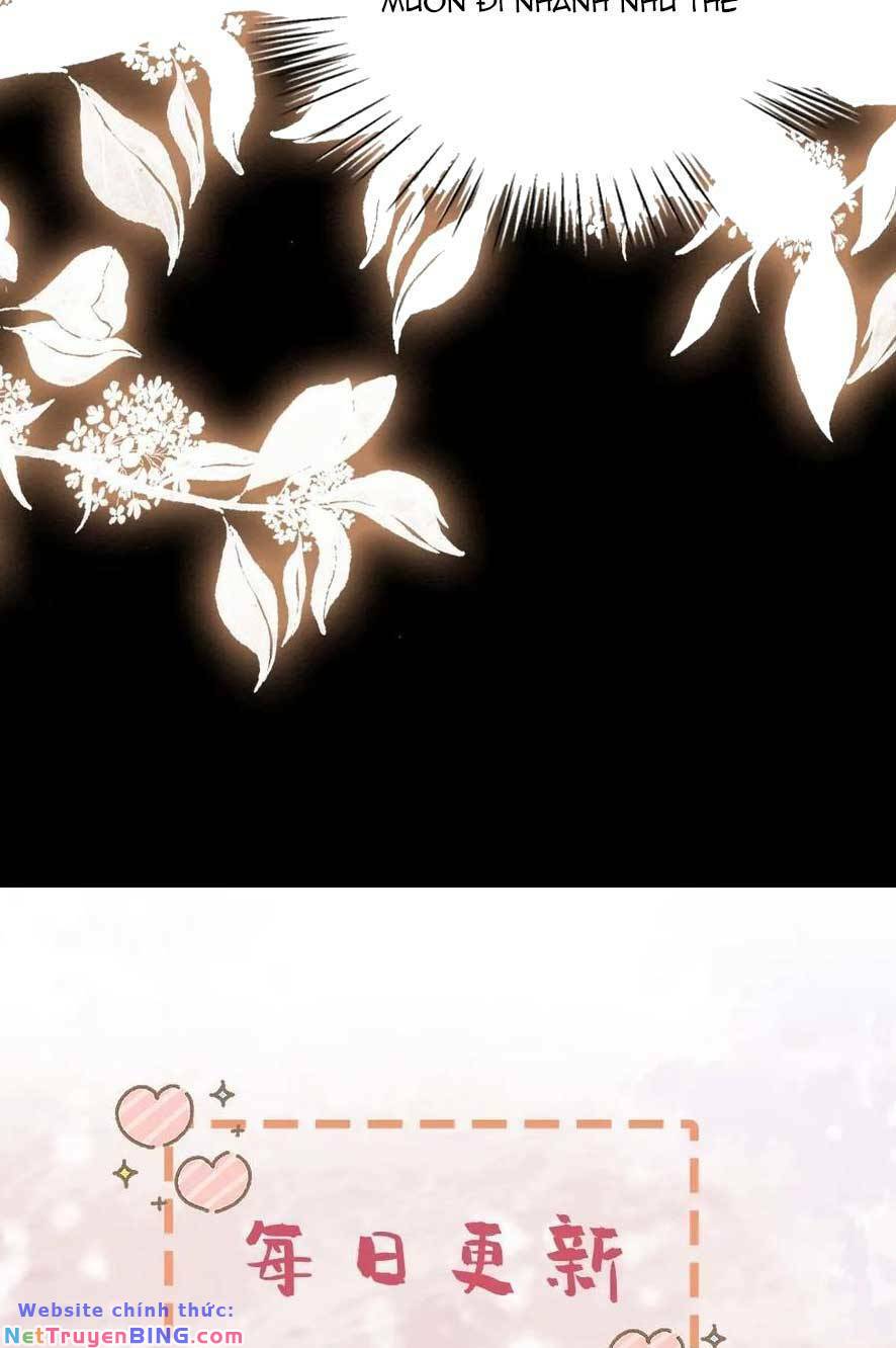 báo cáo nhiếp chính vương, đại lão nàng ấy chuyên trị bệnh liệt dương chapter 186 28