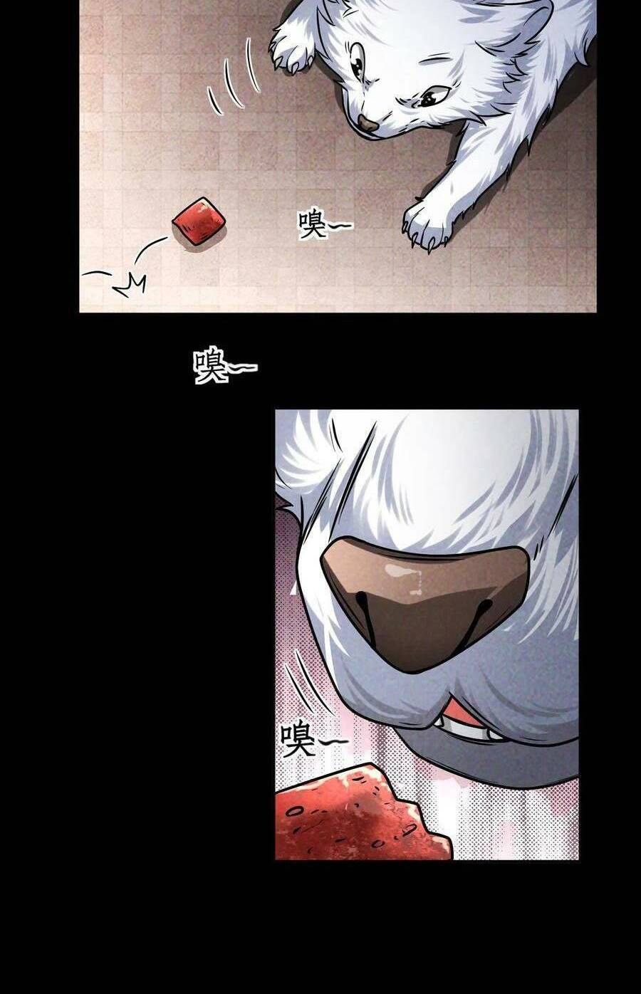 mạt thế cầu sinh: tôi có thể nhìn thấy gợi ý ẩn dấu chapter 19 16