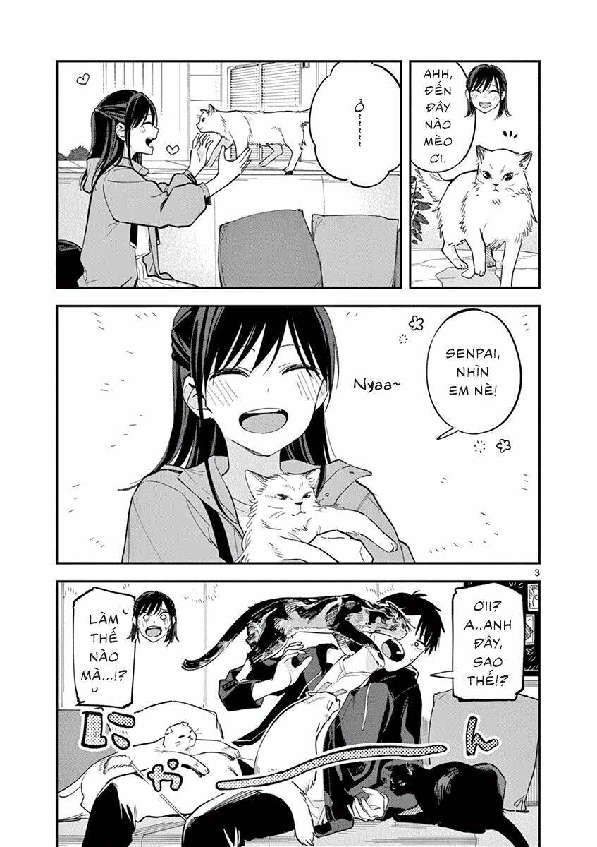 pseudo harem chapter 88.1 4