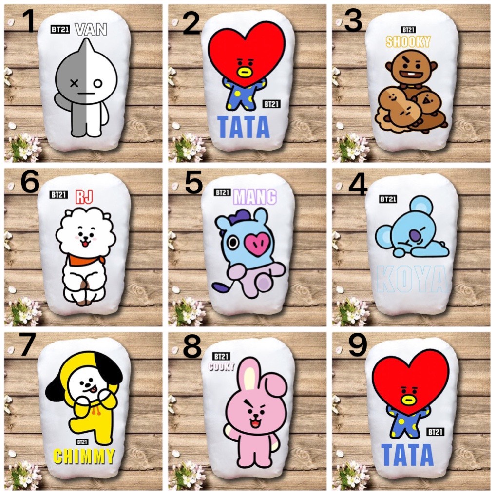 Gấu ôm BT21 2 mặt ảnh /gối ngủ bts bt21