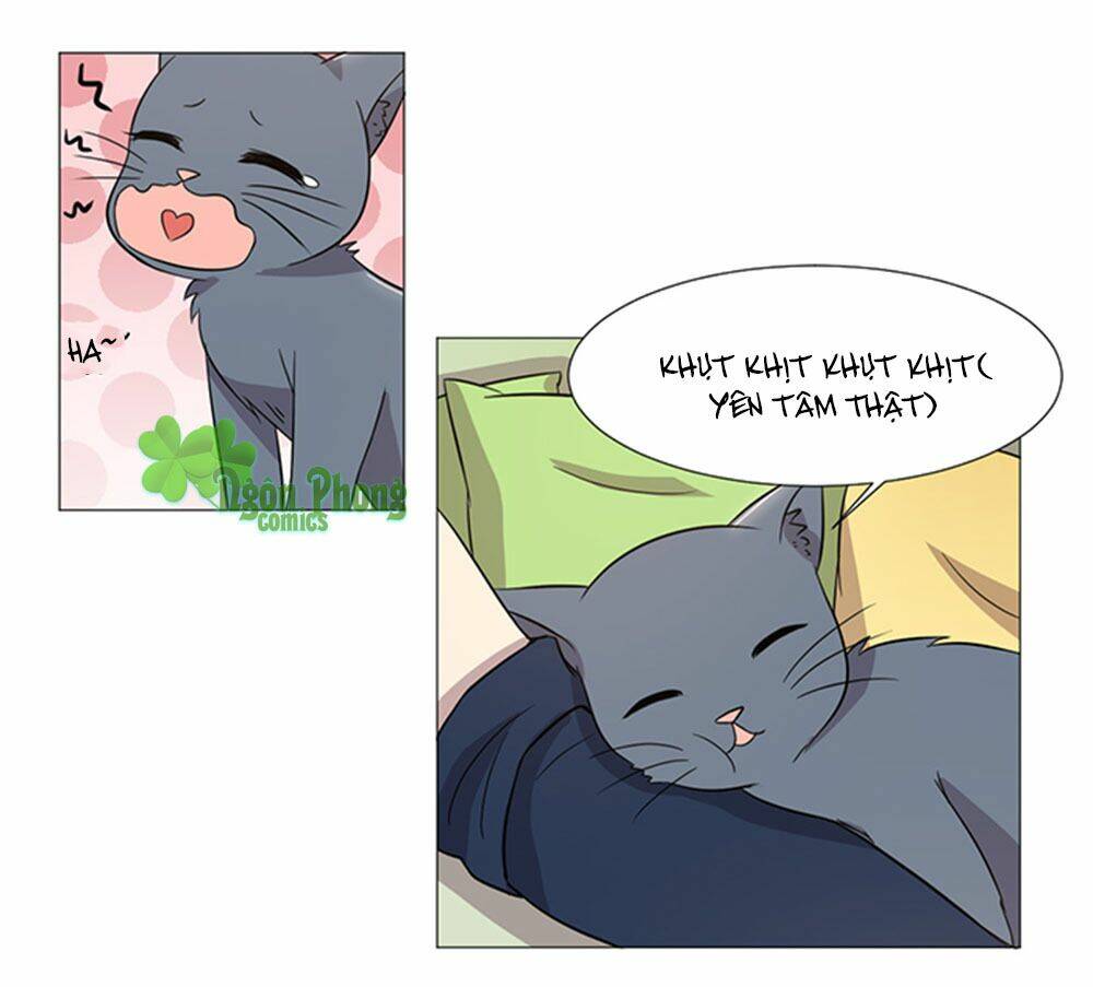 hai chú mèo totem chapter 38 11