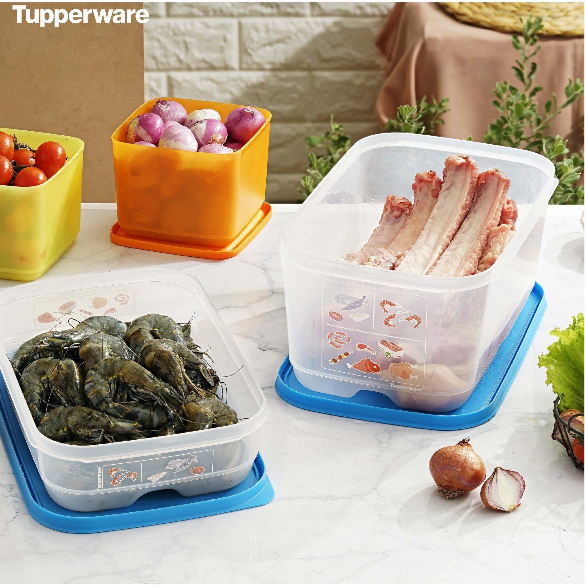 Bộ Trữ Đông Mát Dẻo Tupperware Cool Mate Set 2