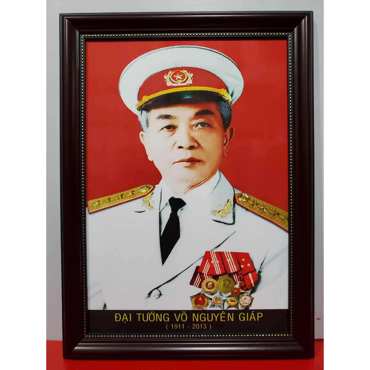 ẢNH CHÂN DUNG BÁC HỒ - BÁC GIÁP 