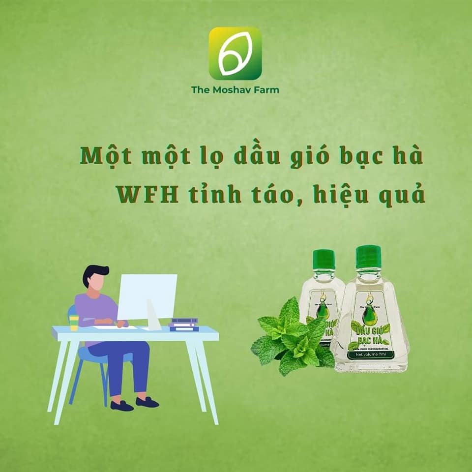 Dầu Gió Bạc Hà The Moshav Farm Chiết Xuất Hoàn Toàn Từ Thiên Nhiên Hộp Hai Chai 7 ml Giải Trừ Ngạt Mũi Giải Cảm Đau Đầu Cảm Lạnh Đau Nhức Xương Vết Côn Trùng Cắn