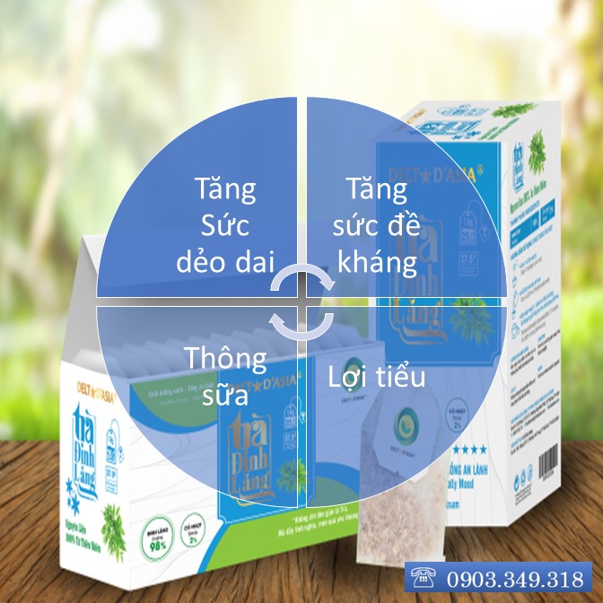 TRÀ ĐINH LĂNG HỘP – Delta D'Asia Phục hồi cơ thể, ăn ngon, ngủ tốt (25 túi x 1,5 g)