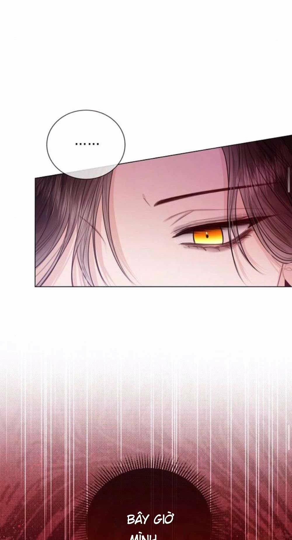 tôi sẽ từ bỏ vị trí hoàng hậu chapter 30 50