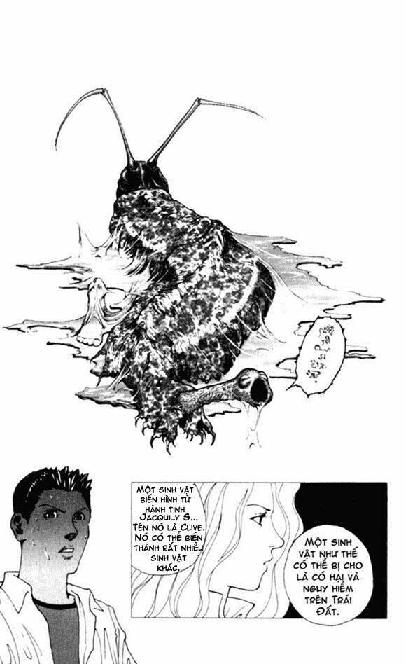 level e chapter 1 55