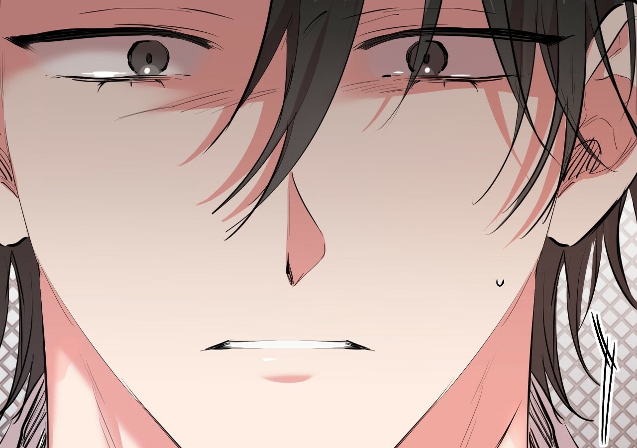 đàn thỏ của habibi chapter 21 239