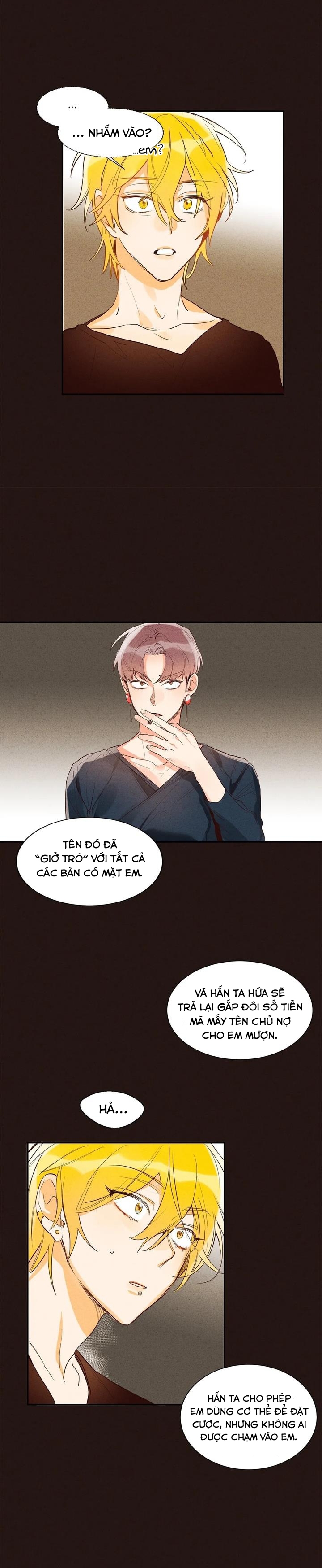 pheromone shower (chim nhại) chapter 6 13