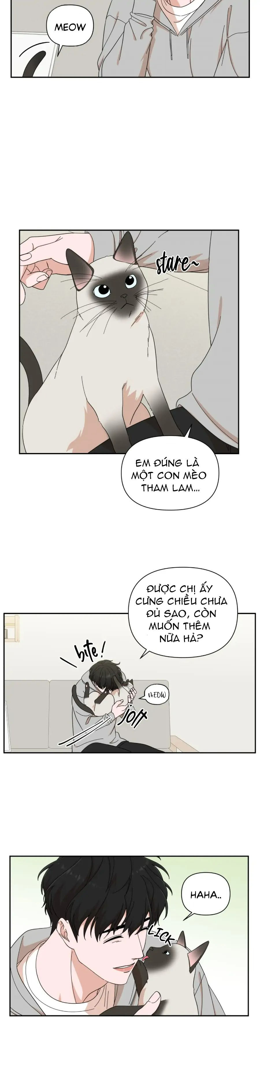 chàng trai ngọt ngào chapter 12.1 12