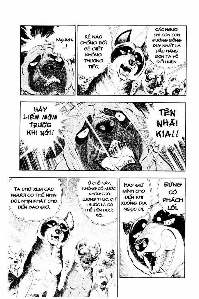 chú chó có nghĩa - ginga nagareboshi gin chapter 30.2 16