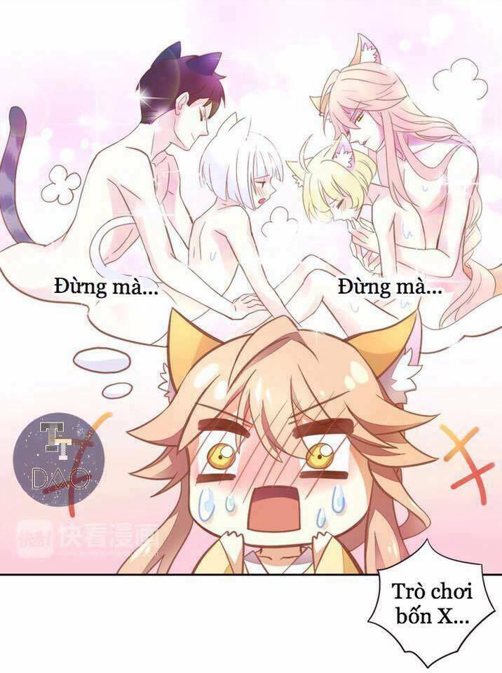 dưới móng vuốt mèo chapter 4 13