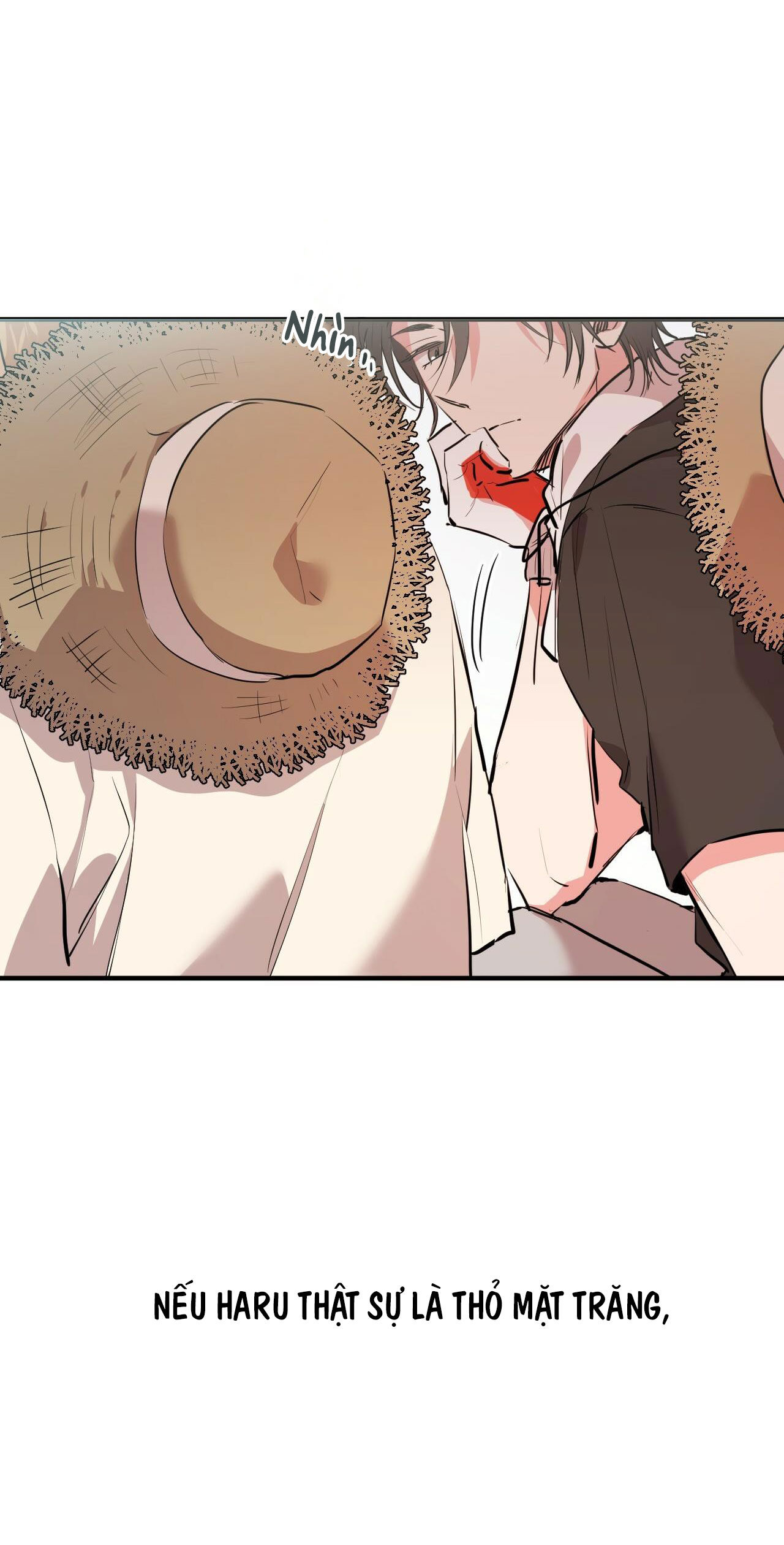 những chú thỏ của hapypy chapter 31 11