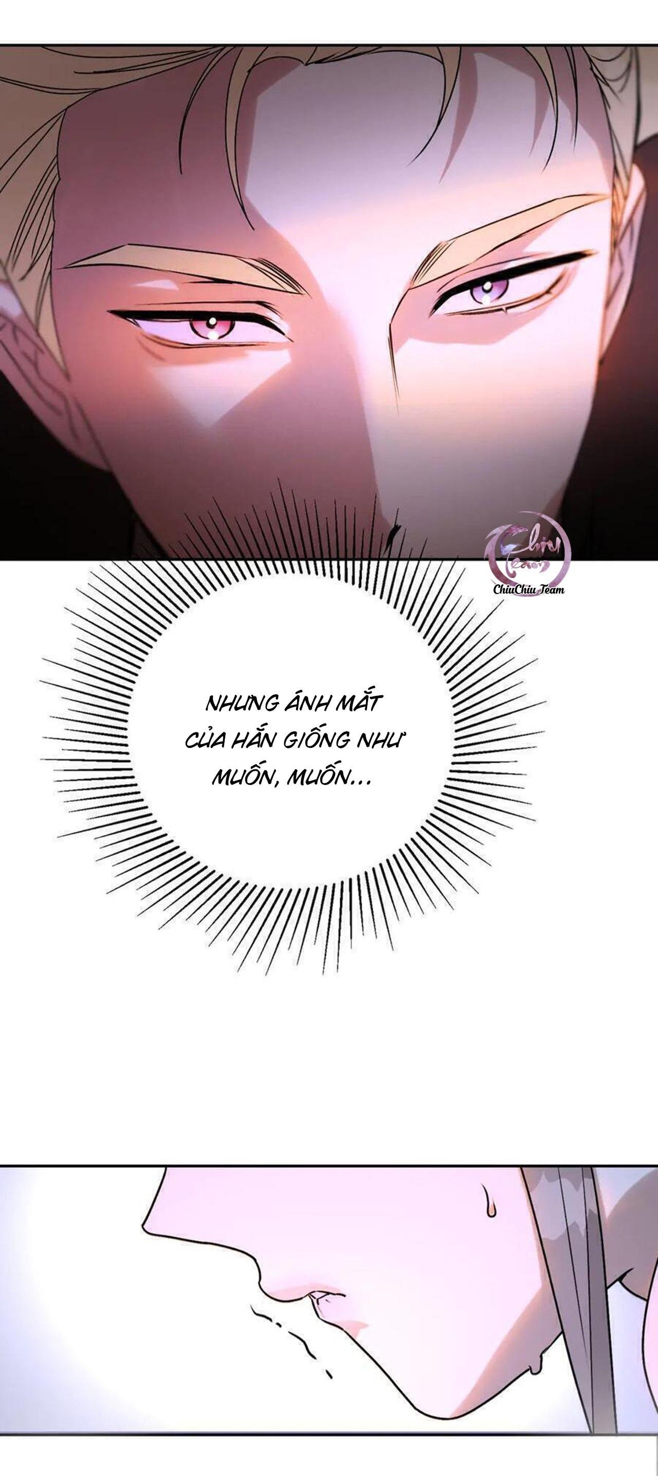 anh trai rẻ tiền của tôi chapter 66.2 18
