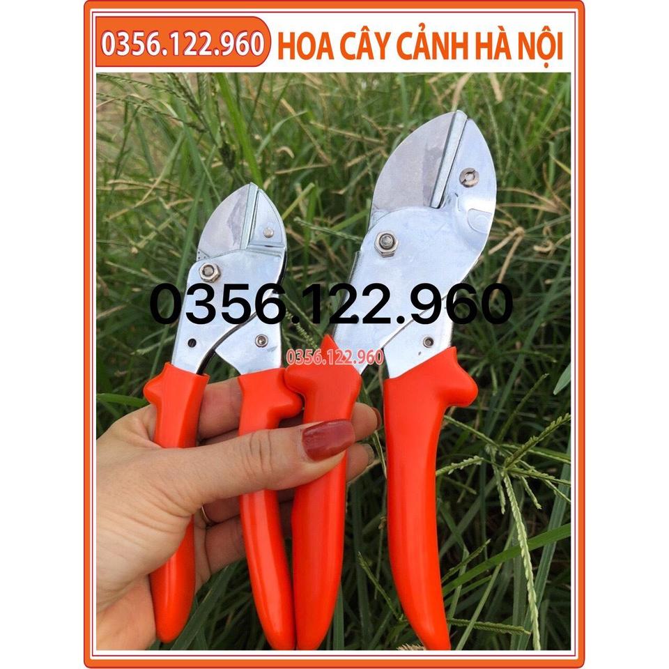 Kéo cắt cành cây cộng lực cầm tay C MART