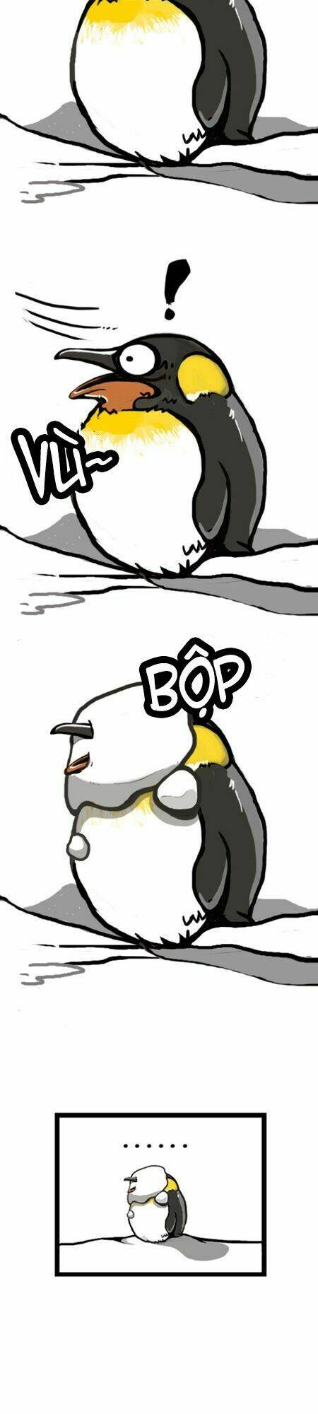 earth, human, and animal chapter 7 3