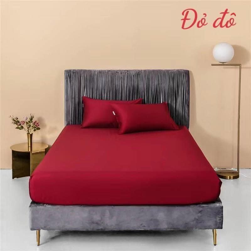Set 1 ga lụa và 2 vỏ gối mỏng mát như hình chát chọn mẫu và kích thước