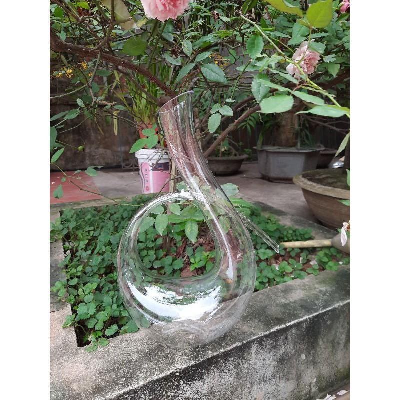 Bình thở rượu vang - Decanter Thiên Nga hình số 6