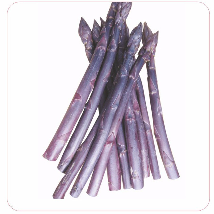 Hạt giống măng tây tím