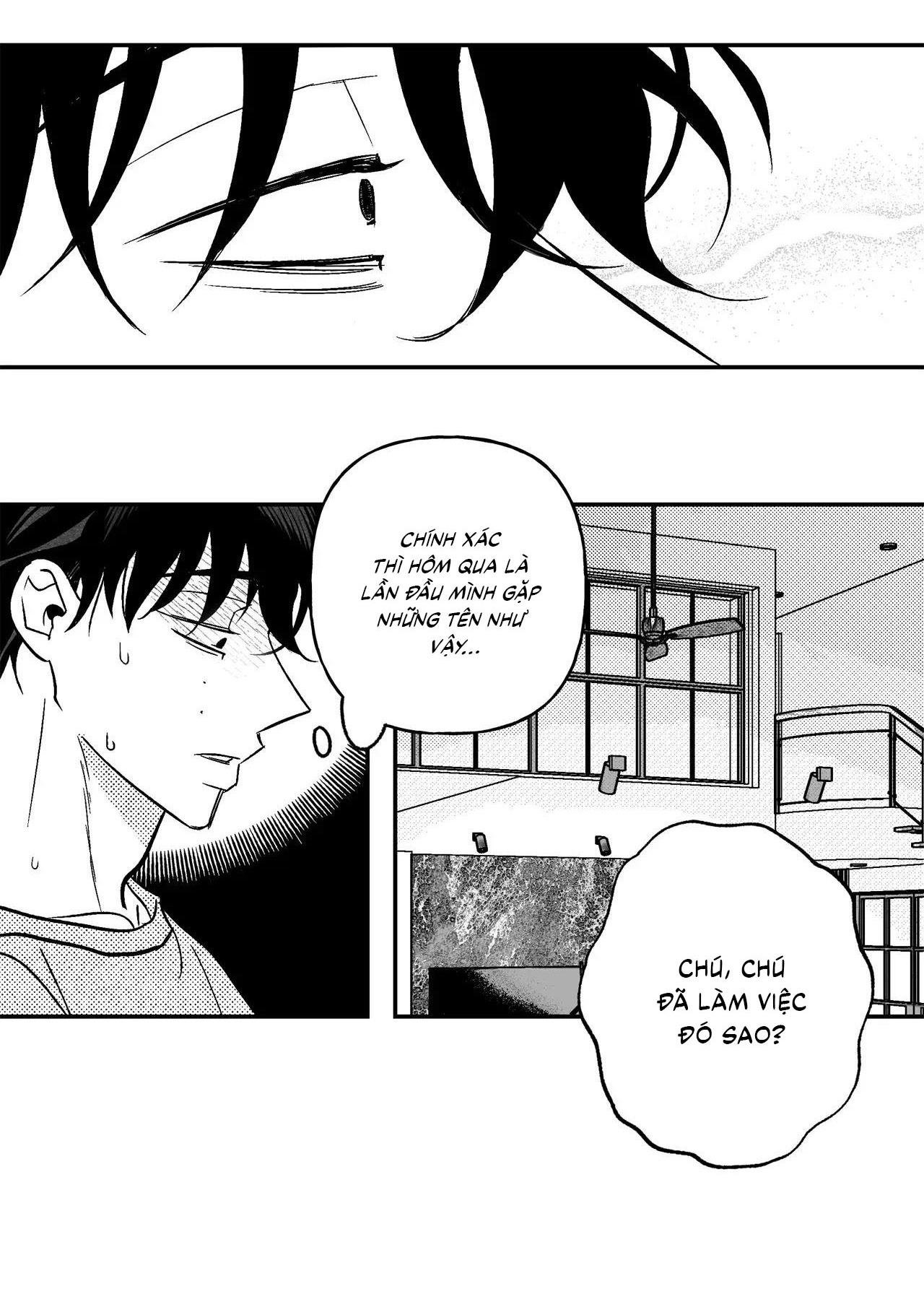 (cbunu) sự kết hợp hoàn hảo chapter 41 27
