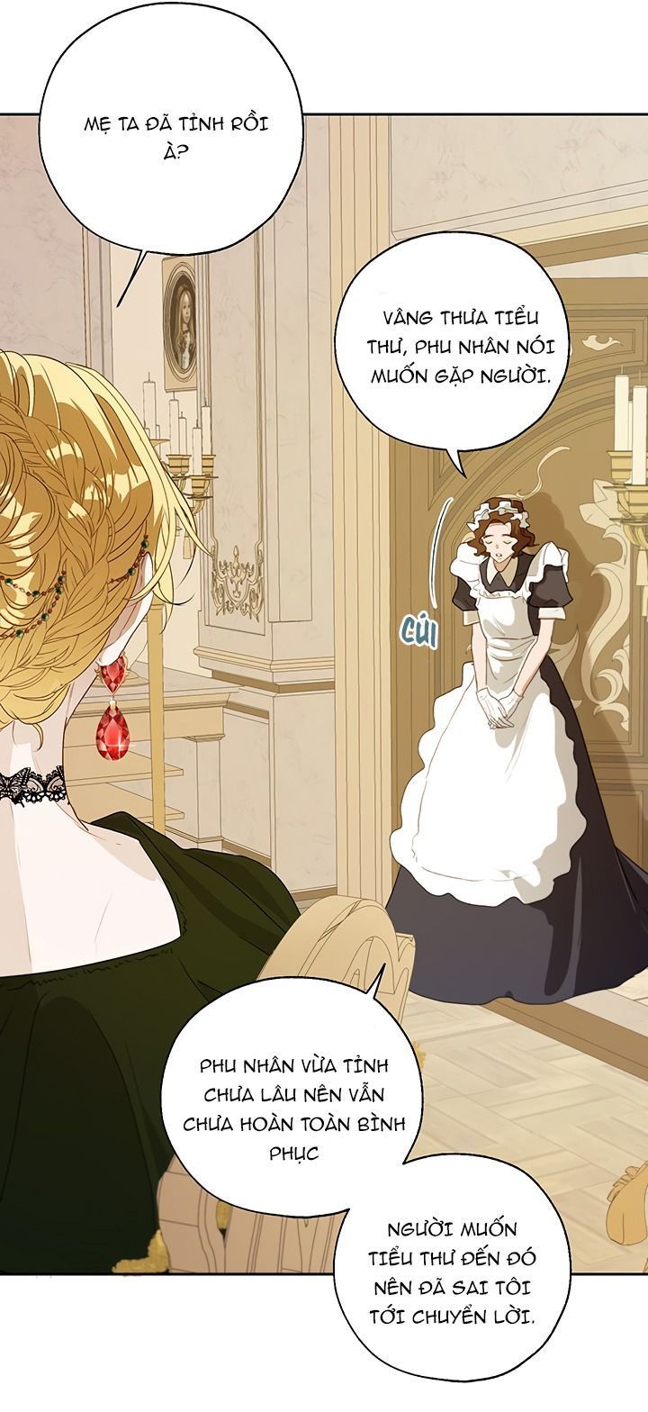 cách để cứu rỗi anh trai của nữ chính chapter 17 46