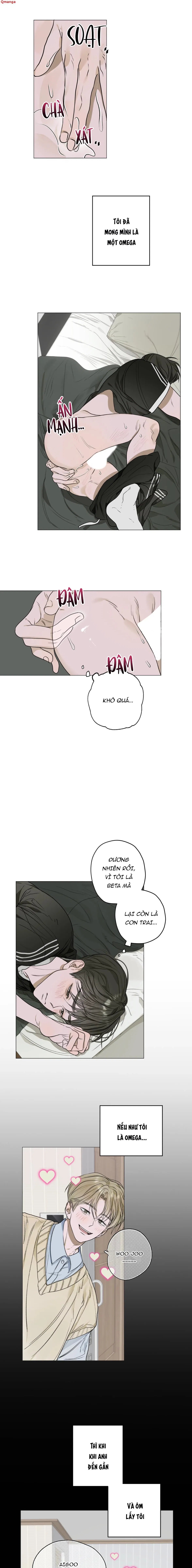 đoá hoa trên mặt hồ chapter 2 6