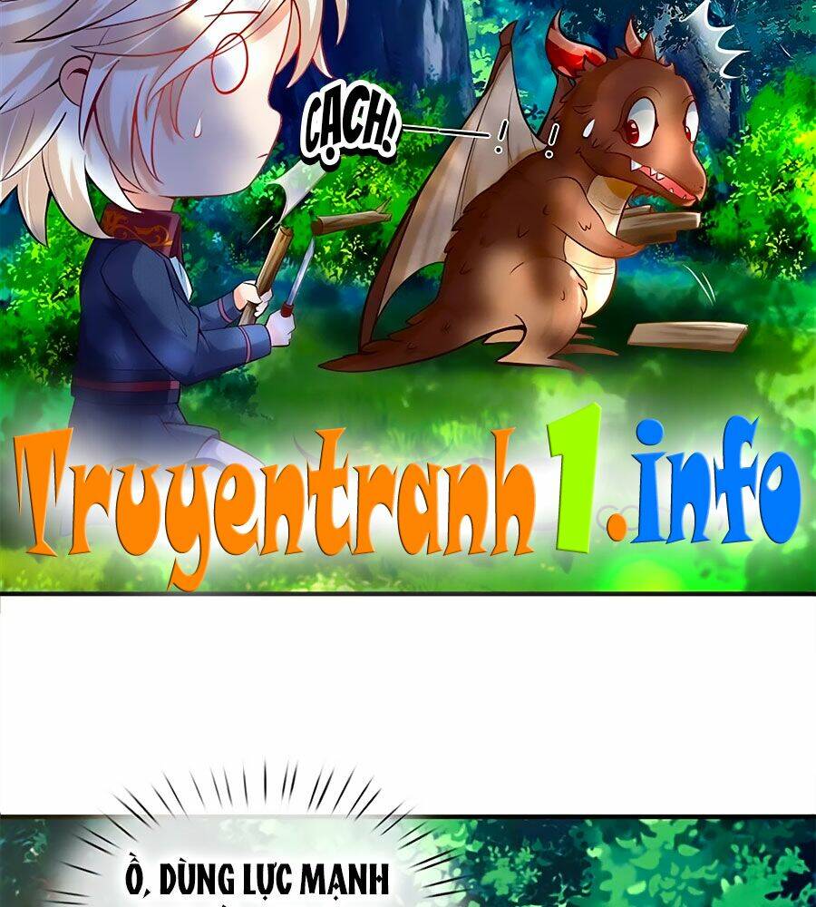 bỗng một ngày trở thành con gái nhà vua chapter 187 14