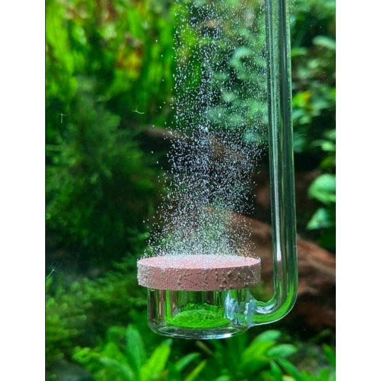 Cốc Sủi CO2 Siêu Mịn AQUARIO NEO CO2 DIFFUSER - Normal Special