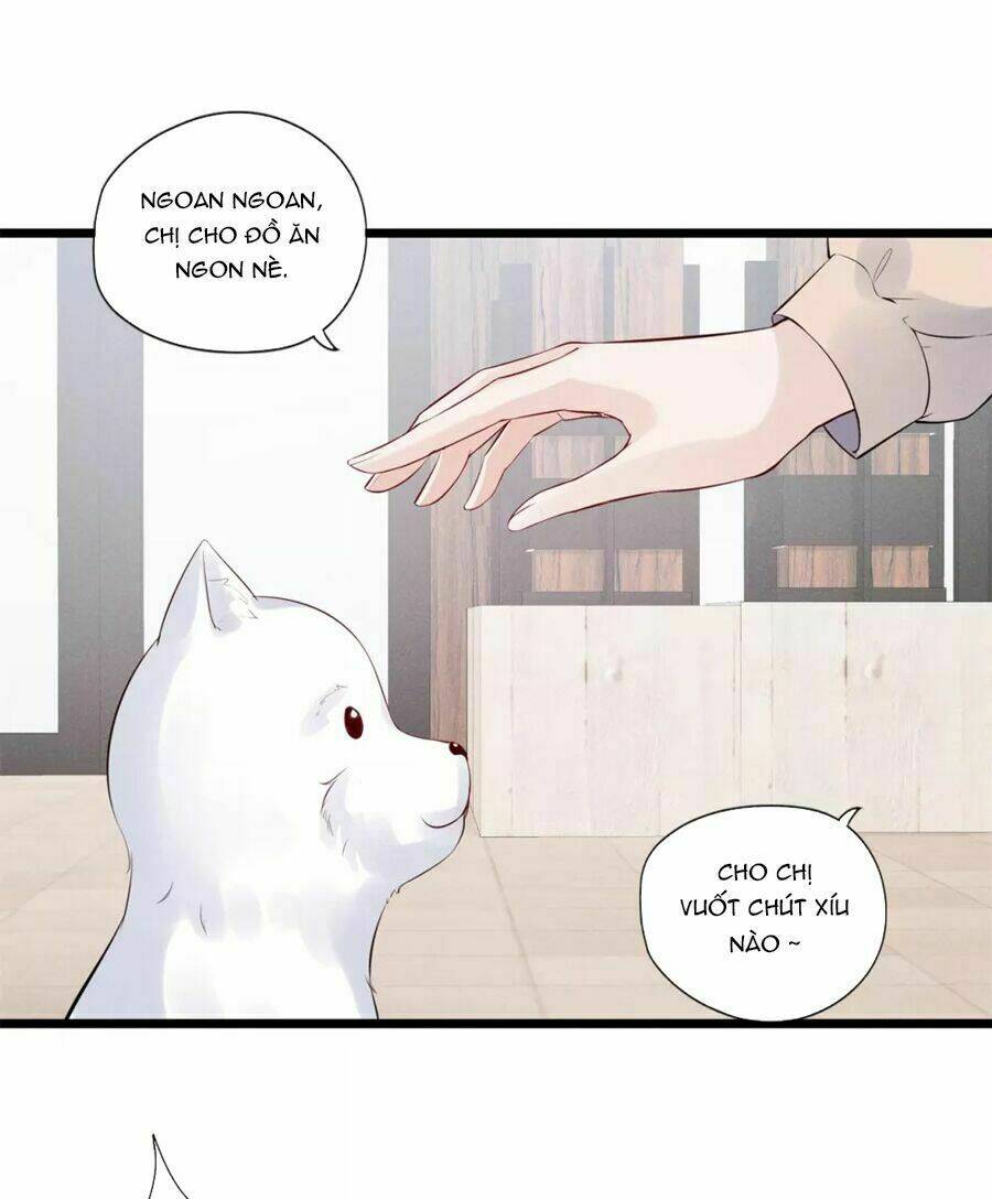 cạm bẫy lửa tình chapter 80 9