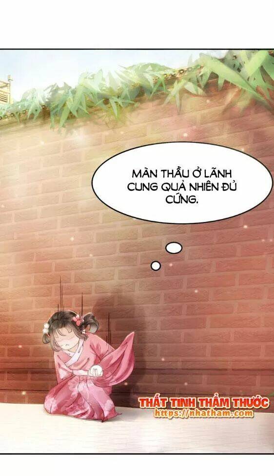 trọng sinh bá sủng nhiếp chính vương quá mạnh mẽ chapter 1 64