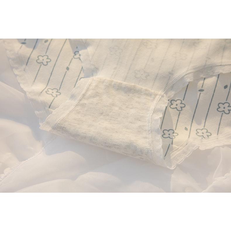 Quần Lót Nữ Cotton Hoa Nhí Kháng Khuẩn Ngang Eo Thời Trang . Hàng Loại Đẹp.