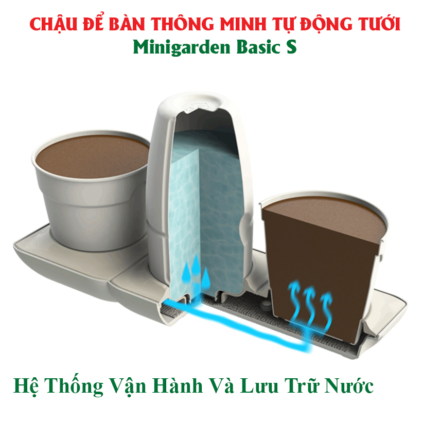 Combo 2 Bộ Chậu Tự Dưỡng Trồng Rau sạch, Trồng Cây Xanh Để Bàn Basic S & UNO nhập khẩu Bồ Đào Nha dành cho người yêu rau và cây tại nhà